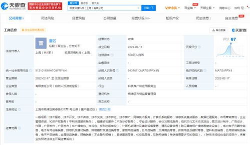 互聯(lián)網(wǎng)設(shè)備銷售 趨勢(shì)、挑戰(zhàn)與未來展望